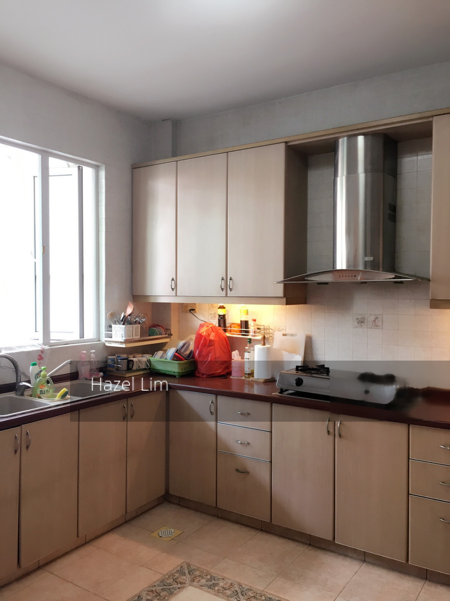 Serangoon Garden Estate (D19), Semi-Detached #151295142